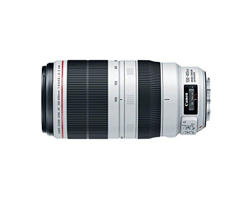 Canon Telephoto Lens