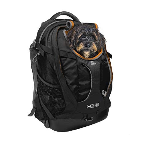 Kurgo GTrain Backpack