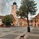 Andre loves Sibiu because it's a 'thing' for people to feed the pigeons here. Like..... store owners will come out of their shops and people will come out of their houses and incorporate pigeon-feeding into their daily habits. Andre's eating tons of bread these days. He especially loves piața mare for this reason 🤷🏻‍♀️🤷🏻‍♀️🇷🇴🇷🇴