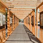 Gearing up to leave Sibiu..... I'm curious, if you were going to live in any Romanian city, where would you choose? Photo of one of the top (well, only) two contenders, #clujnapoca 🇷🇴🇷🇴🇷🇴
#themigrantyogi #travelingyogi #travelersnotebook #travelgram #adventure #exploremore #iamtb #followmeto #wearetravelgirls #cluj #transylvania #transilvania #discoverromania #romania🇹🇩