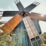 Preparing for the re-opening of museums, the freedom to be outside without a reason, and better times ahead 💕🇷🇴💕🇷🇴💕