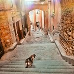 Andrei ❤ Sibiu #themigrantyogi #travelingyogi #travelersnotebook #travelgram #adventure #exploremore #iamtb #followmeto #sibiutravel #romania🇹🇩 #wearewithin500mofhome #covid19 #tutulvafibine