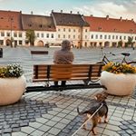 Always trying to make friends 🇷🇴🇷🇴🇷🇴