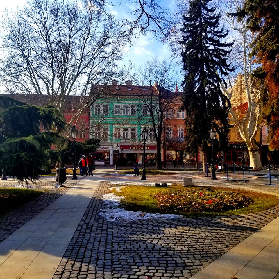 View across a park in Kosice, Slovakia to the other side of the street. The bare branches of the trees in the park hinder your view of the bright colored houses lining the opposite side of the street.