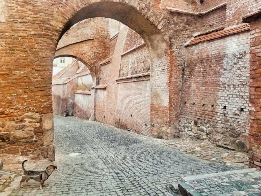 Things to do in Sibiu - Stairs Passage