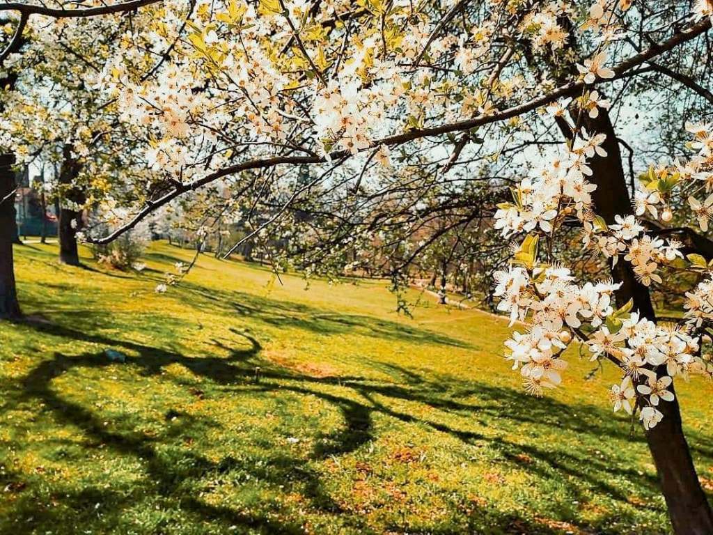 Things to do in Sibiu - Parcul Sub Arini