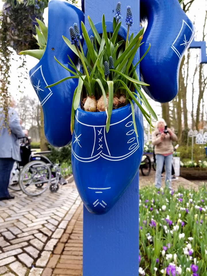 Blue wooden clog planters at Keukenhof