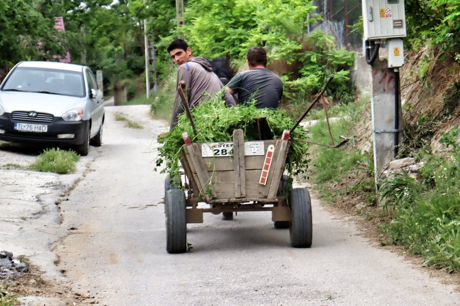 Boy looking back toward camera as he drives his horse and carriage through a Romanian village