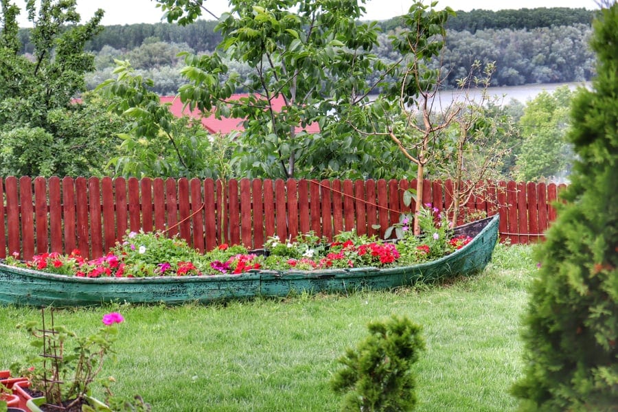 Old kayak filled with flowers in a Romanian garden on the Danube Delta