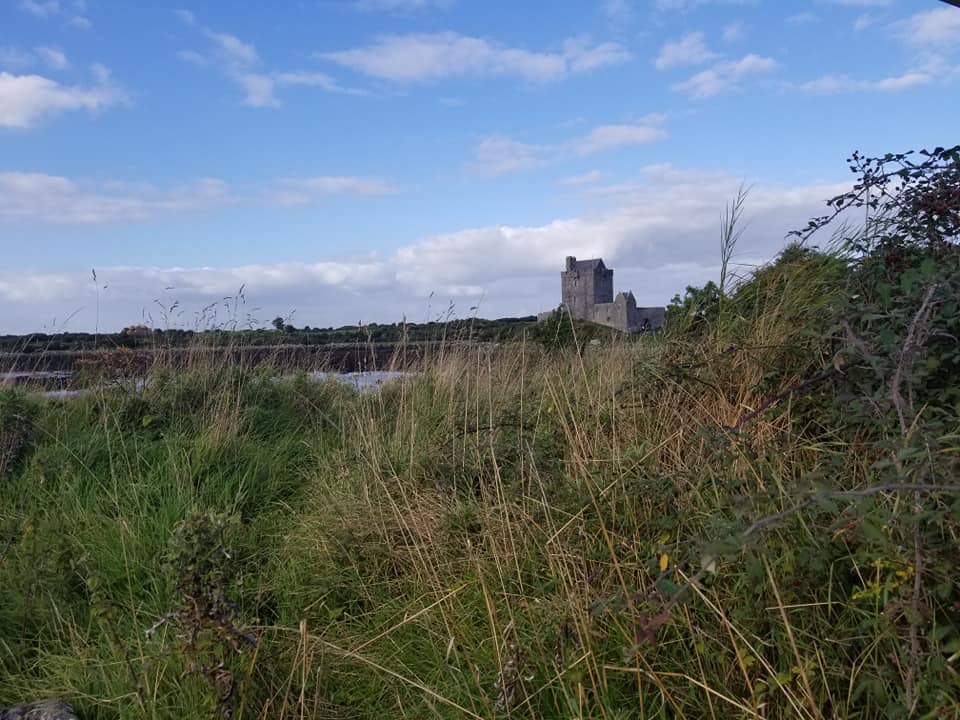 Castle in the distance in Ireland with blue skies and long, green grass