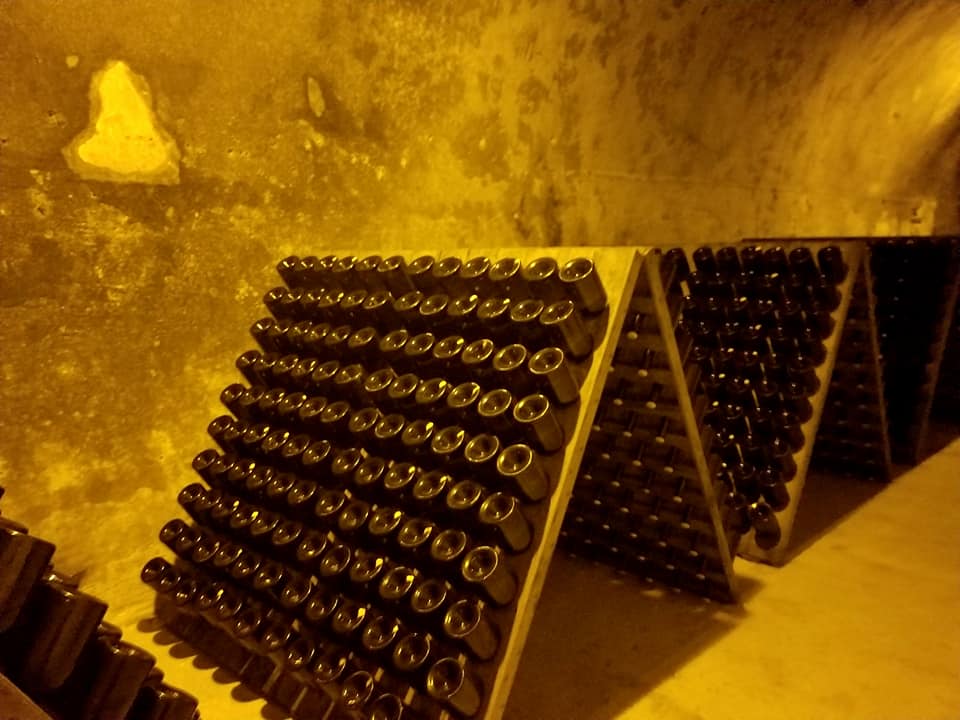 Looking at hundreds of stored bottles in the cellars of Maison Taittinger Champagne